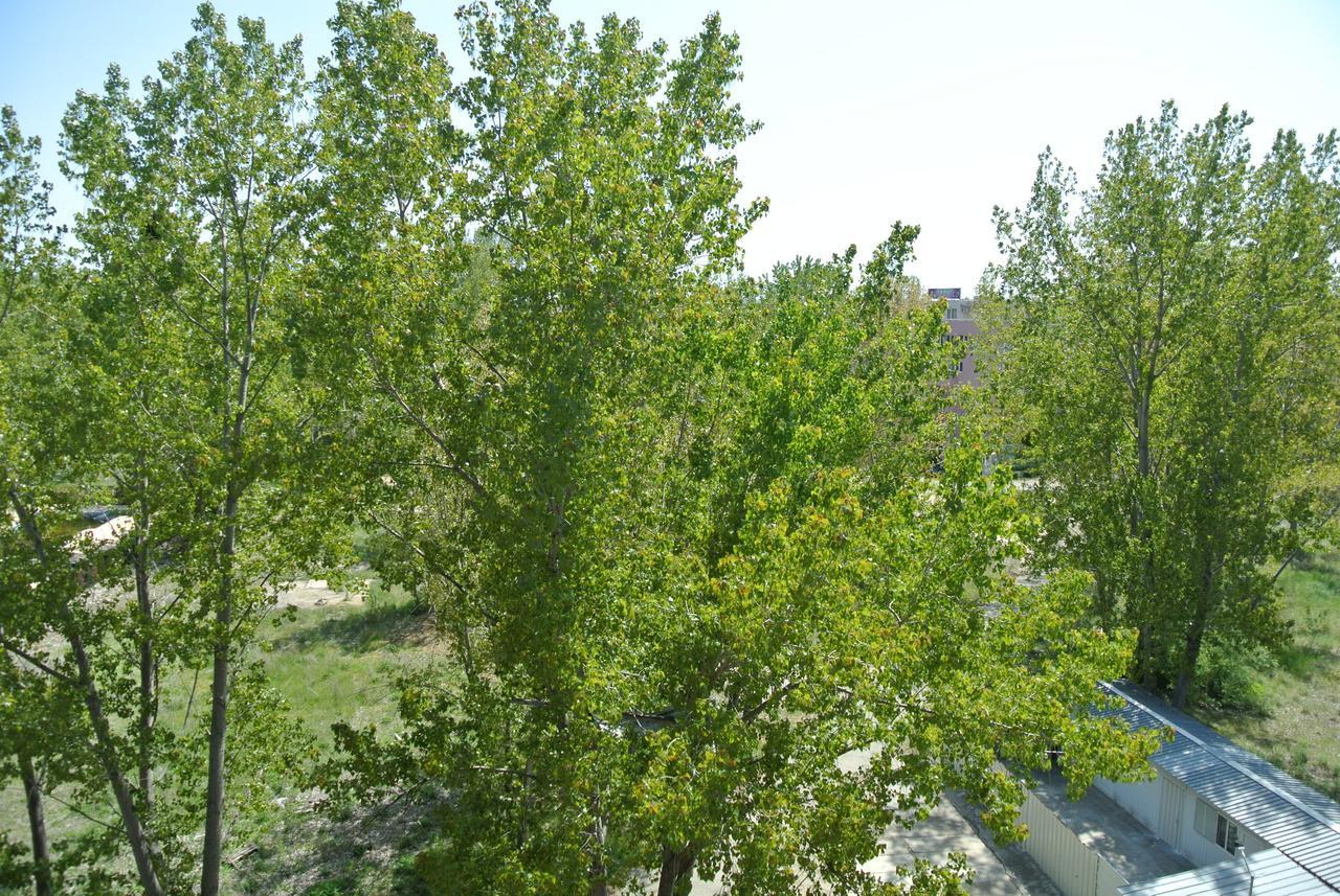 St. Sofia Apartments - Official Rental Слънчев бряг Екстериор снимка